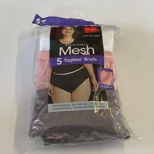 Hanes 5 pack of tagless briefs